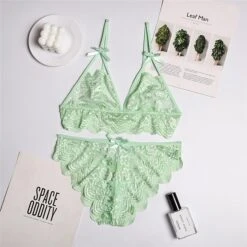 Women‘s Christmas Lingeries Gift Lace Bras Fixed Straps Sheer Bras Triangle Cup V Neck Breathable Lace Hook & Eye Date Casual Daily Xmas Sexy 1 Set White Black / Bra & Panty Set -Ladies Pajamas Store dseeyy1639398797530