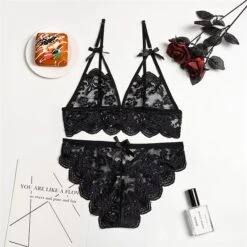 Women‘s Christmas Lingeries Gift Lace Bras Fixed Straps Sheer Bras Triangle Cup V Neck Breathable Lace Hook & Eye Date Casual Daily Xmas Sexy 1 Set White Black / Bra & Panty Set -Ladies Pajamas Store fxkweb1639398798183
