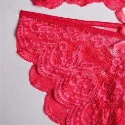 Women‘s Christmas Lingeries Gift Lace Bras Fixed Straps Sheer Bras Triangle Cup V Neck Breathable Lace Hook & Eye Date Casual Daily Xmas Sexy 1 Set White Black / Bra & Panty Set -Ladies Pajamas Store gtyrun1639398802842