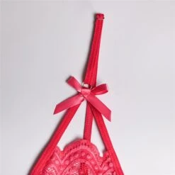 Women‘s Christmas Lingeries Gift Lace Bras Fixed Straps Sheer Bras Triangle Cup V Neck Breathable Lace Hook & Eye Date Casual Daily Xmas Sexy 1 Set White Black / Bra & Panty Set -Ladies Pajamas Store mumgfw1639398799824