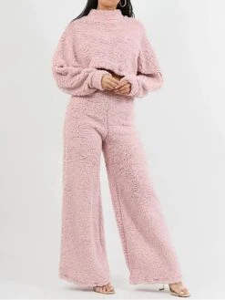Women's Loungewear Sets Pure Color Casual Comfort Soft Home Daily Going Out Fleece Warm Stand Collar Long Sleeve Pullover Pant Fall Winter White Pink