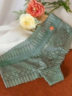 Women's Flower Lace Hole Simple Pure Color Basic Panties Brief Micro-elastic Mid Waist Sexy Nylon 1 PC Green One-Size -Ladies Pajamas Store xcemfi1637930144208