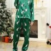 Women's Christmas Pajamas Sets Animal Penguin Simple Casual Comfort Home Bed Satin Breathable Lapel Long Sleeve Shirt Pant Button Pocket Fall Winter Green -Ladies Pajamas Store ynxgjw1696751784117