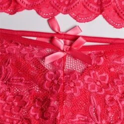 Women‘s Christmas Lingeries Gift Lace Bras Fixed Straps Sheer Bras Triangle Cup V Neck Breathable Lace Hook & Eye Date Casual Daily Xmas Sexy 1 Set White Black / Bra & Panty Set -Ladies Pajamas Store ypcbvk1639398801995